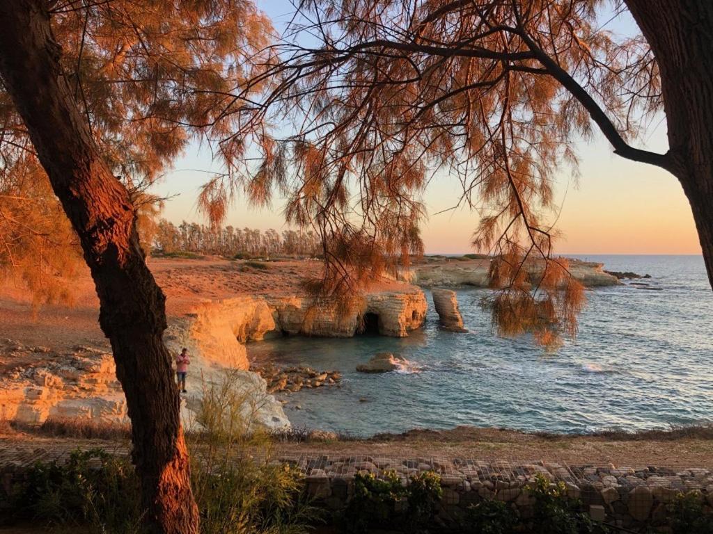 Cozy Apartment In Paphos Beautiful Complex المظهر الخارجي الصورة
